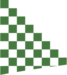 Checked Pattern Bottom Left